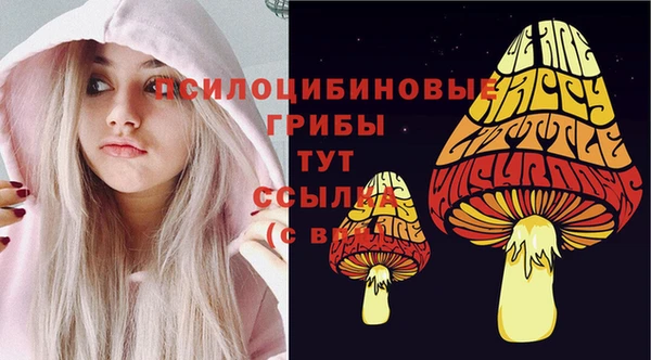 хмурый Краснотурьинск